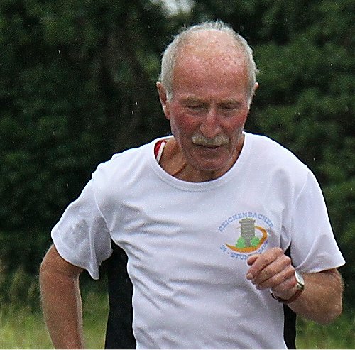 Areainsel in Brugg in der Schweiz